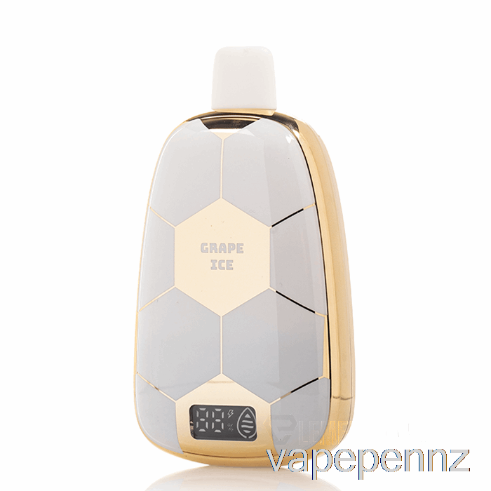 Ronaldinho 10 15K Disposable Grape Ice VAPE NZ